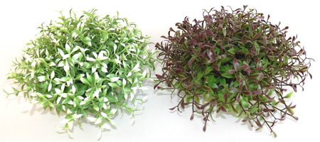 Kunststof plant waterball maxi 10cm