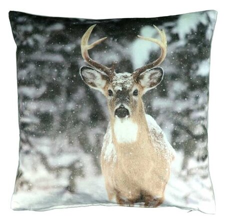 Kussen winter printed l45b45 des 9