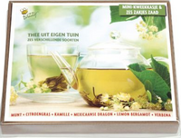 Kweekset 6 thee kruiden - afbeelding 2