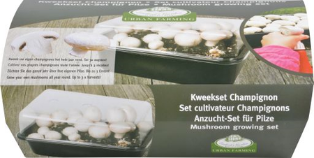 Kweekset champignon d18h15b28cm