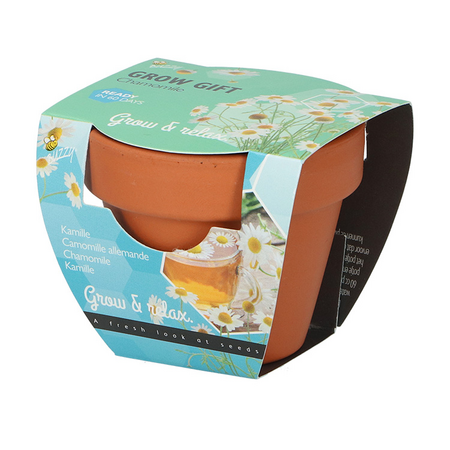 Kweekset groeicadeau kamille