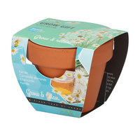 Kweekset groeicadeau kamille