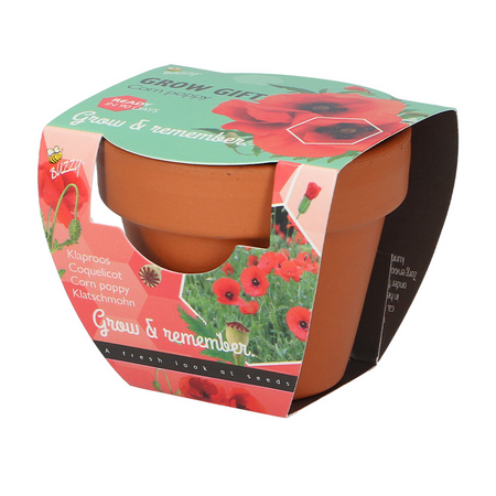 Kweekset groeicadeau papaver