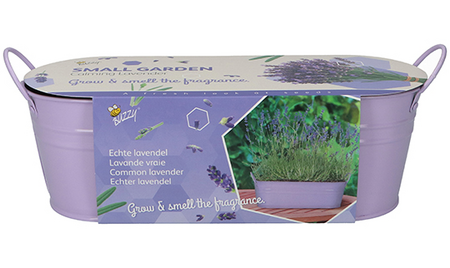 Kweekset teil calming lavender