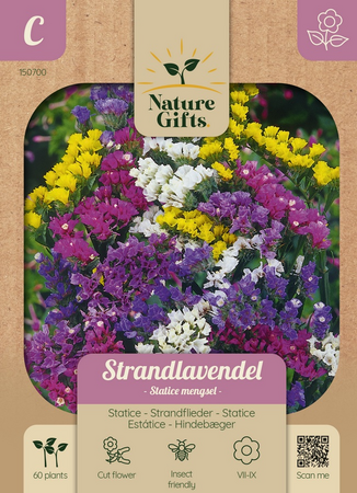 Lamsoor statice mengsel 60st