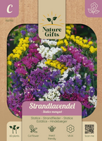 Lamsoor statice mengsel 60st