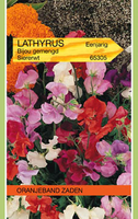 Lathyrus bijou mix 5g - afbeelding 3