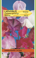 Lathyrus odoratus colorama mix 5g - afbeelding 3