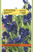 Lathyrus odoratus royal blauw 4g - afbeelding 3