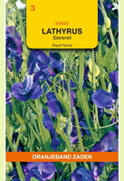 Lathyrus odoratus royal blauw 4g - afbeelding 1