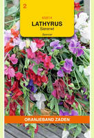 Lathyrus odoratus spencer mix 5gram - afbeelding 1