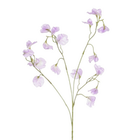 Lathyrussteel l82cm lila