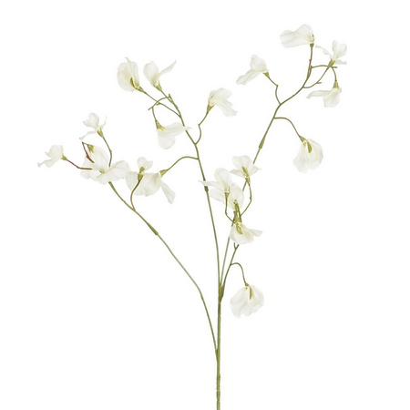 Lathyrussteel l82cm wit