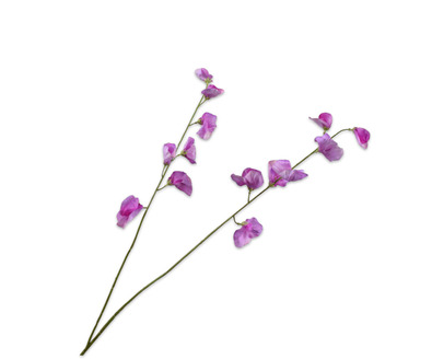 Lathyrussteel l89cm lavendel