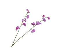 Lathyrussteel l89cm lavendel