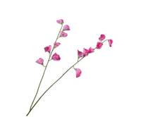 Lathyrussteel l89cm roze