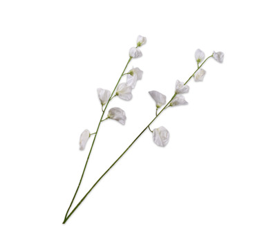 Lathyrussteel l89cm wit