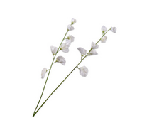 Lathyrussteel l89cm wit