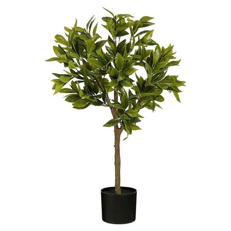 Laurierboom d25h90cm groen