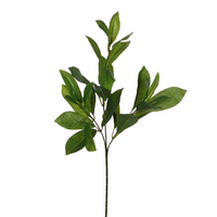 Lauriertak l58cm groen