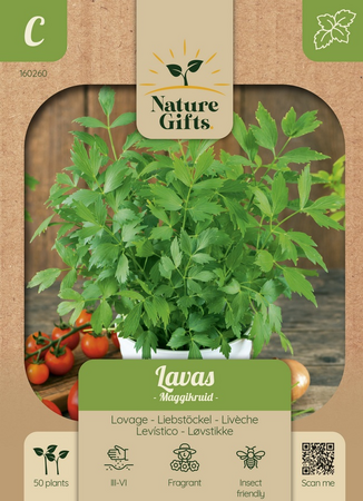 Lavas maggikruid 50st