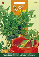 Lavas maggiplant 1.5g - afbeelding 3