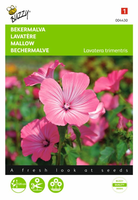 Lavatera trimestris rose/rood 1.5gram
