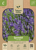 Lavendel echte spijk 100st