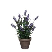 Lavendel in pot d20h33cm blauw (Zijde-plant)