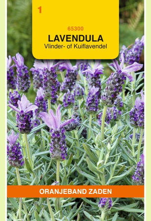 Lavendel stoechas sancho panza 0.1gram - afbeelding 1