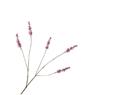 Lavendeltak l85cm roze