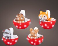 Led acryl dier l18b18h20cm k.wit a4