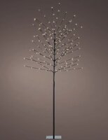 Led boom d70h180cm zwart/warm wit