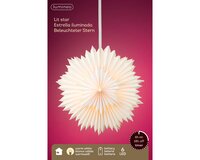 Led ster d40l12cm wit/warm wit