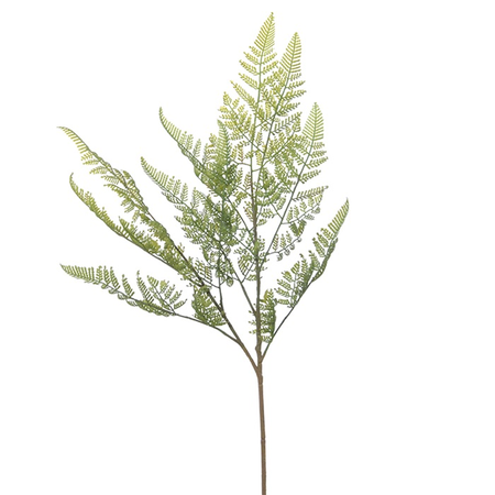 Ledervaren tak l70cm groen (Zijde-plant)