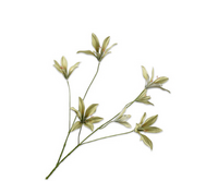 Lelietak l85cm groen