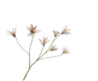 Lelietak l85cm lavendel/creme