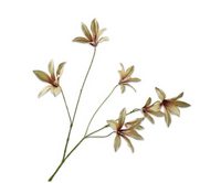 Lelietak l85cm mauve