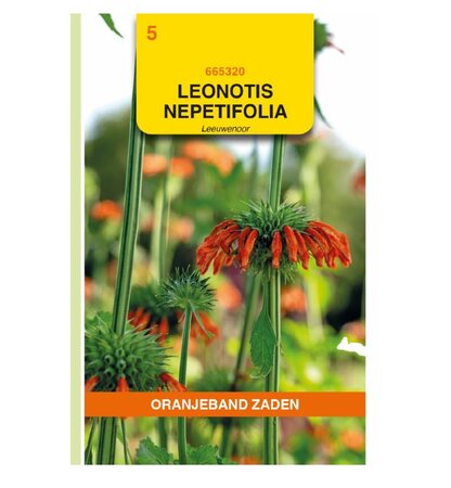 Leonotis. leeuwenoor 20 zdn