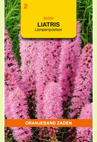 Liatris spicata purperrose 0.75gram - afbeelding 1