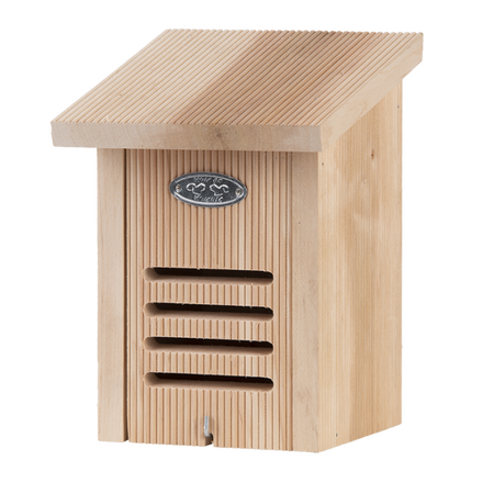 Lieveheersbeestjeskast l16b16h22