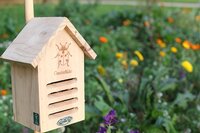 Lieveheersbeestkastje - afbeelding 2