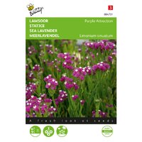 Limonium purple attraction 0.2g