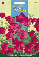 Linum rubrum grandiflorum rood 1.5gram - afbeelding 3