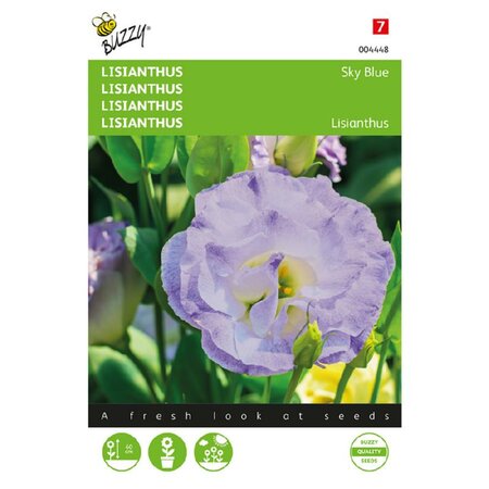 Lisianthus mini sky blue 20zdn - afbeelding 1