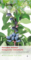 Lonicera caerulea kamtschatica - afbeelding 1
