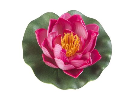 Lotus foam fuchsia 10cm - afbeelding 1