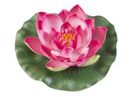 Lotus foam fuchsia 17cm - afbeelding 1
