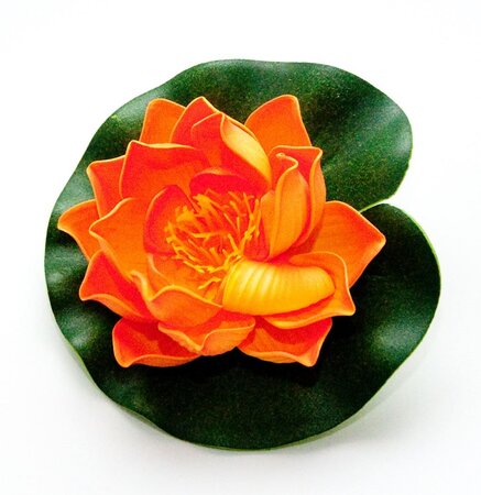 Lotus foam orange 10cm