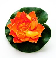 Lotus foam orange 10cm